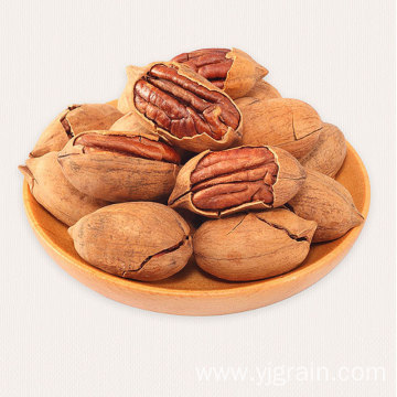 top grade low prices pecan nuts for sale
